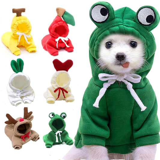 Cute Winter Clothes For Small Dogs